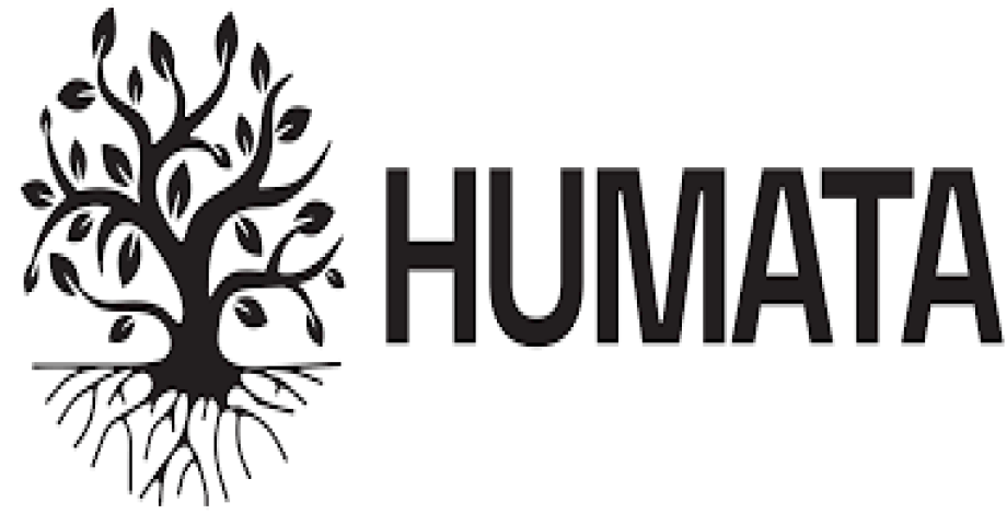 Humata.Ai Premium Account 3 month