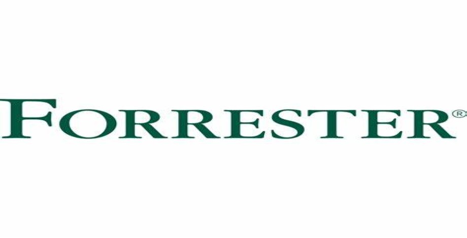 Forrester Research Market Research Industry Forecast Database for one month