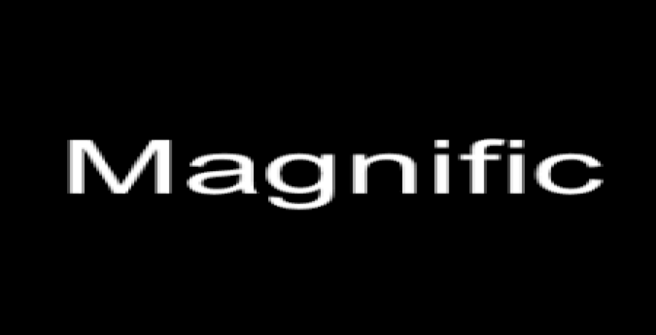 Magnific AI PRO SUBSCRIPTION - 1 month
