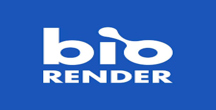 Biorender Premium Account Subscription 1 Month